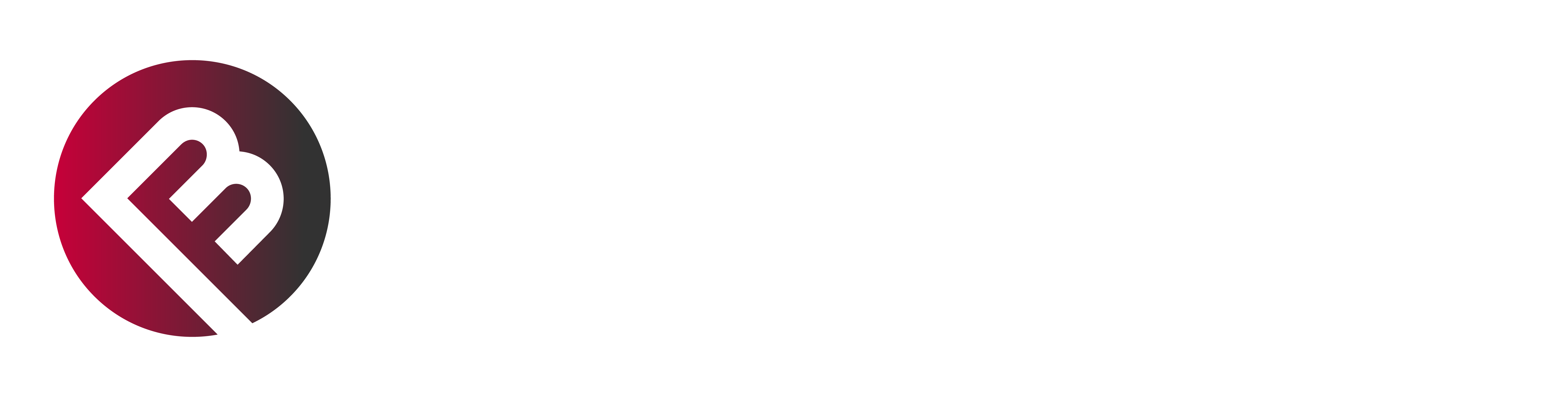 Bay MEP Inc Logo Horizontal White Text